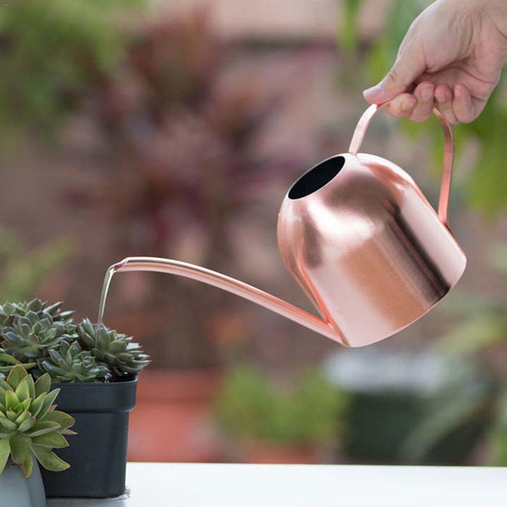 AquaGrace Stainless Steel Watering Can with Flexible Neck | Modern Design | Perfect Watering | Rustproof