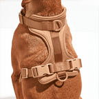 ComfyPaws Dog Harness Walking Set with Leash and Poop Bag Holder