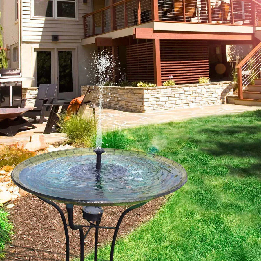 SunSplash | Refreshing, sustainable, and joyous