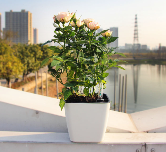 Flower pot with irrigation system – Self-watering plant pot for indoor and outdoor use