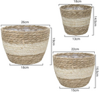 Decorative plant baskets made of seagrass in a set of 3 – Handwoven flower pots with foil insert