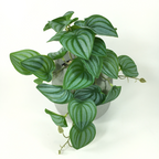 Artificial Hanging Plant for Natural Decoration in Indoor and Outdoor Areas