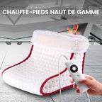 Electric foot warmer