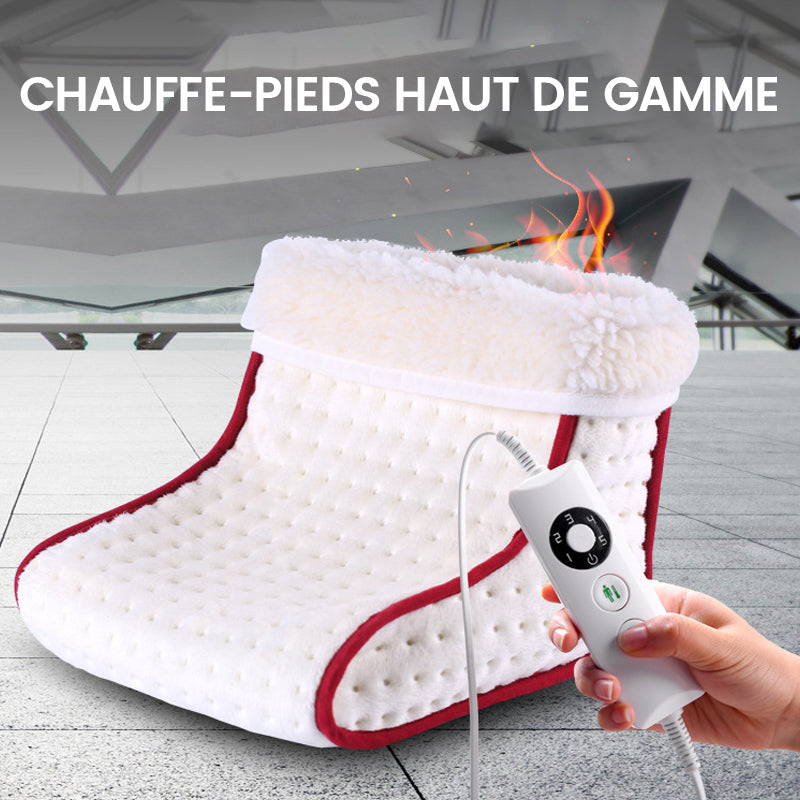 Electric foot warmer