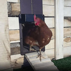 Poultry Farm Automatic Chicken Coop Door