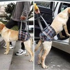 Orthopedic Strap for Hind Legs
