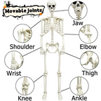 Full Body Skeleton Halloween Decoration – Scares Guaranteed, Fun for All
