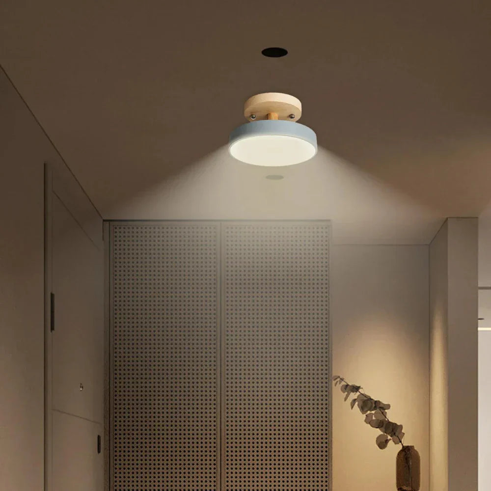 Compact Modern LED Ceiling Lamp
