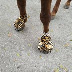 Funny Feet For Horse