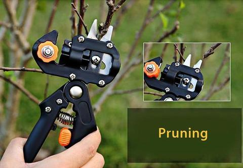 Refinement scissors for garden – Precise cutting tools for grafting and refining plants