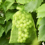 Fruit Protection Bag (100 PCS)