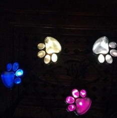 Solar lamp in paw print design – LED garden lighting in multicolor for outdoor use