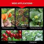 (50% Off Today) Harvest vegetables, harvest fruits thumb measure