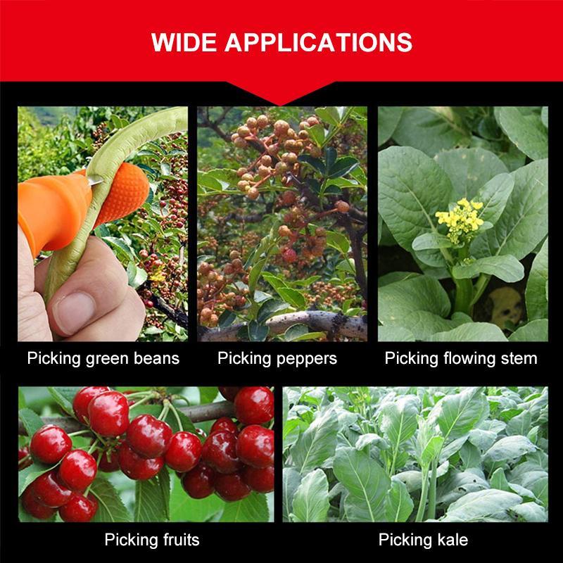 (50% Off Today) Harvest vegetables, harvest fruits thumb measure