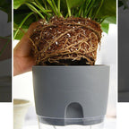 Self-watering Hydro-Flower Pot