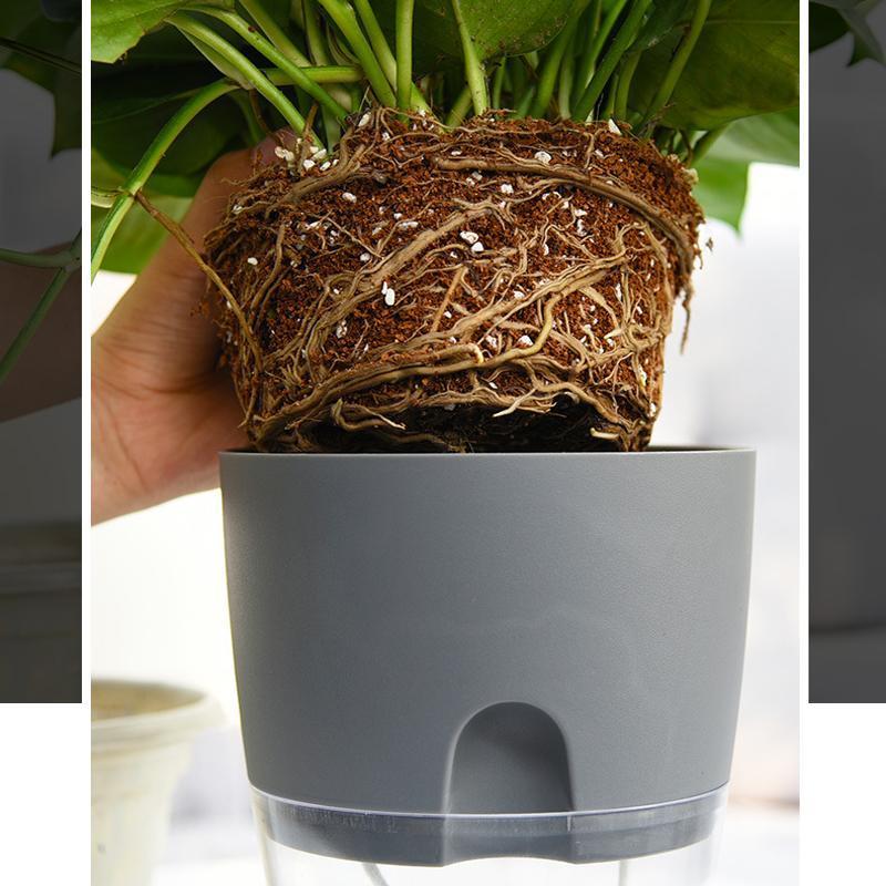 Self-watering Hydro-Flower Pot