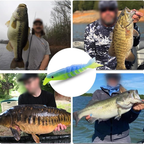 Rubber fish with multiple segments