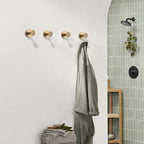 Suction Cup Hook