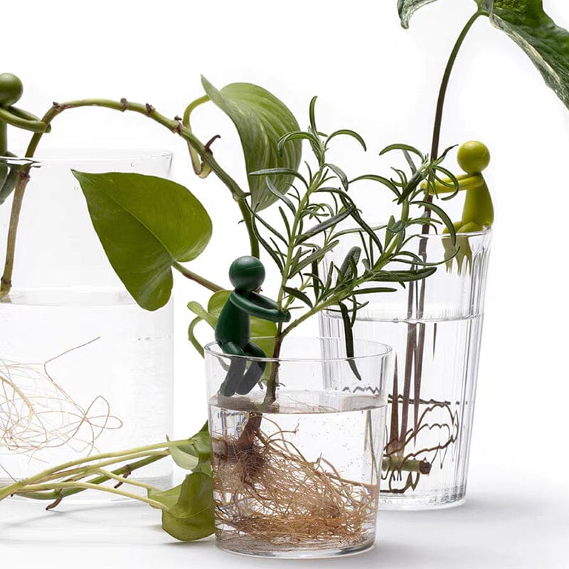 Plant Propagation Friend