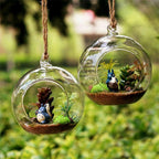 Hanging Glass Herb Pots