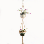 Macrame Plant Hanger Made of Cotton Rope – Stylish Suspension for Pots