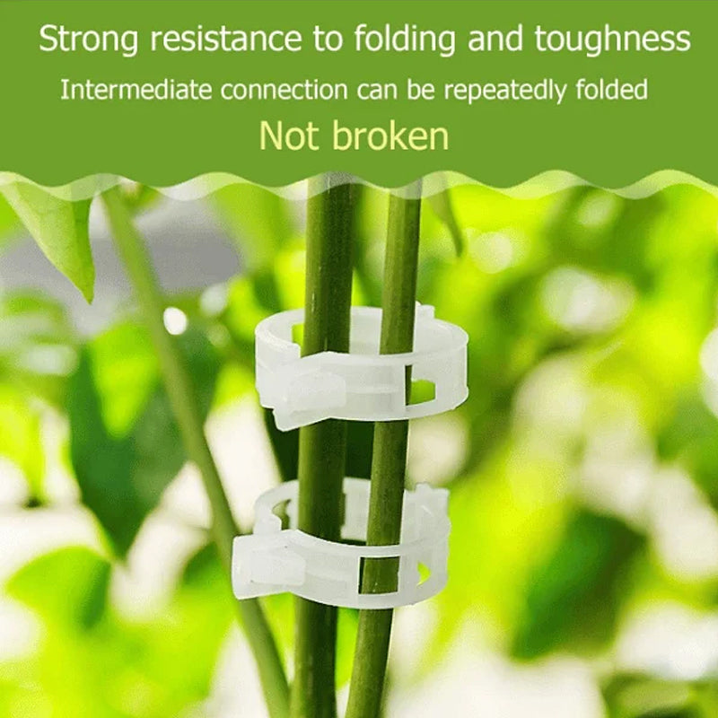 Plant support clips Clear PP Plant Support