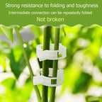 Plant support clips Clear PP Plant Support