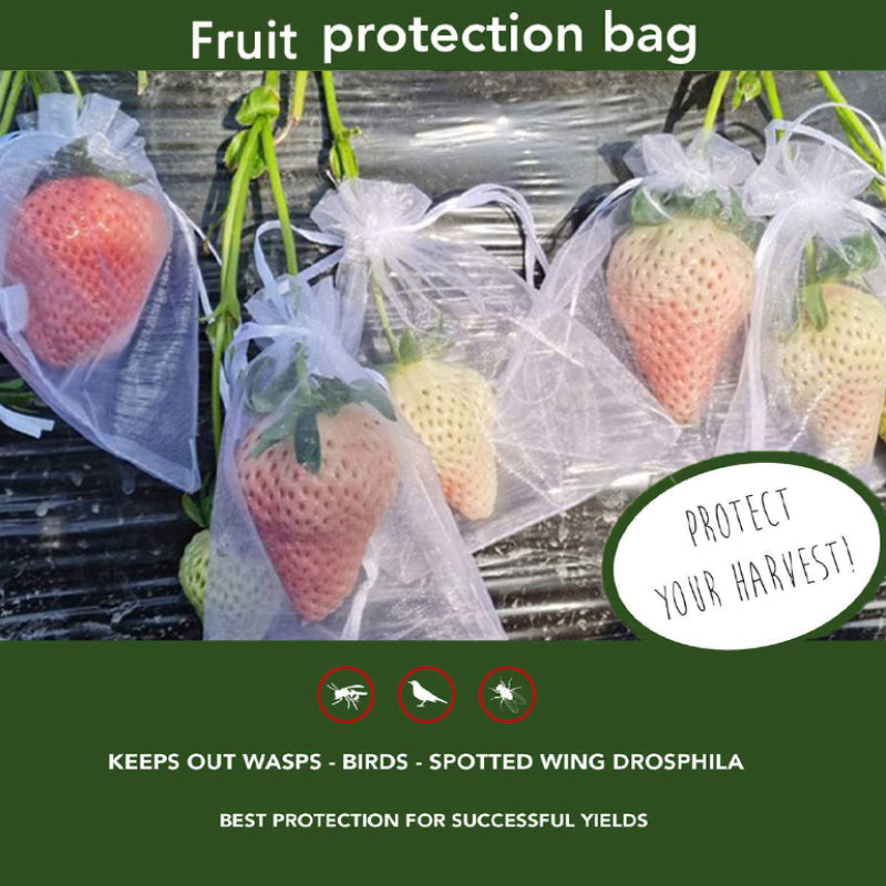 Fruit Protection Bag (100 PCS)