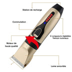 Professional pet grooming kit