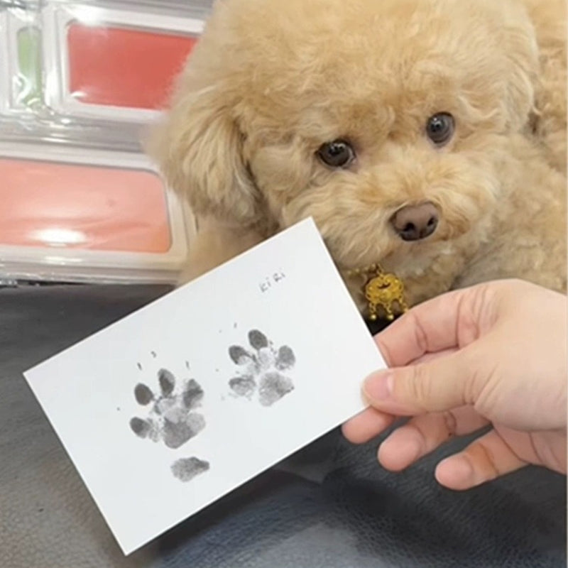 DIY Pet Paw Print Memory Frame