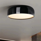 Stylish Ceiling Lamp for Living Room