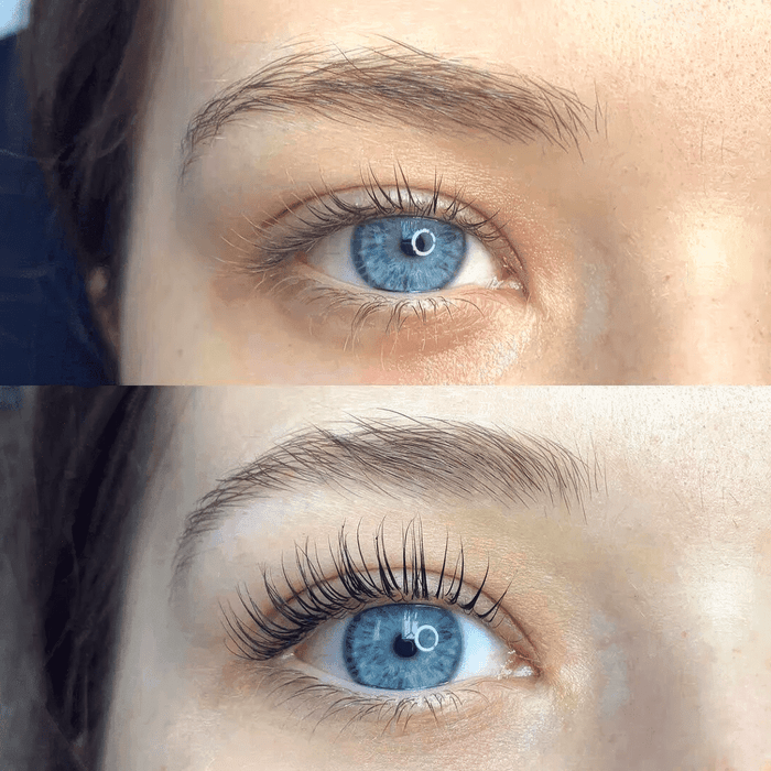 LashCurl | Captivating gaze in the blink of an eye