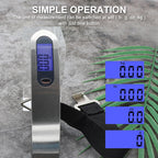 Portable electronic hook scale