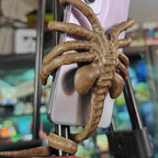 Specially shaped phone holder