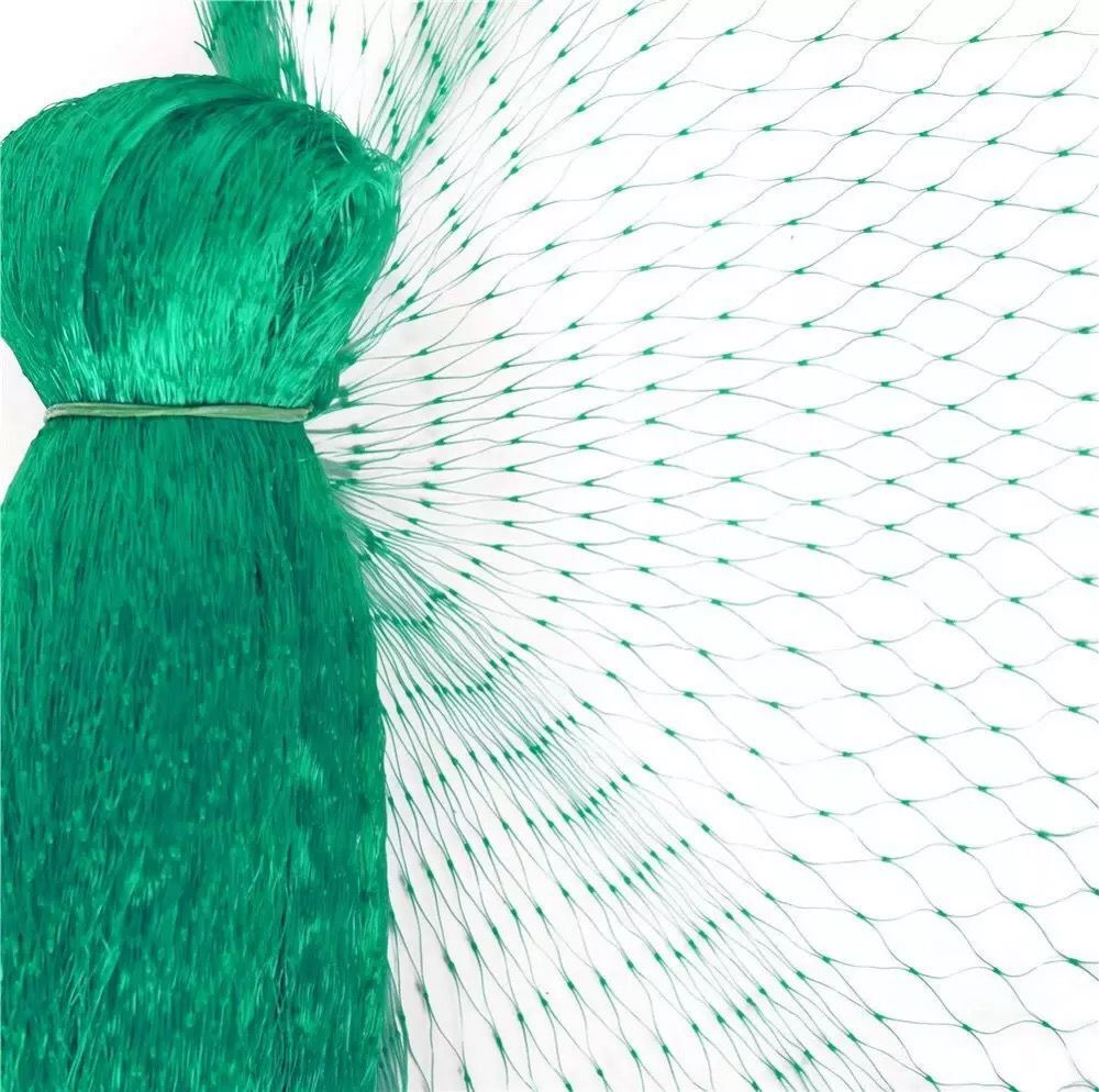 Protective net for garden plants – Green net against pests and animals
