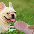 Portable Pet Water and Food Bowl