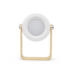 FoldLamp