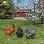 AgriNet Pro Garden Net UV-resistant Tearproof Versatile Plant Protection Custom sizes Available