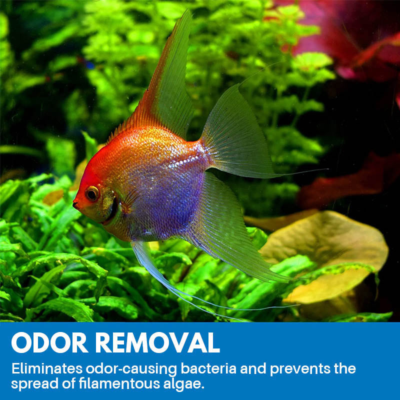 Aquarium Cleaning Powder