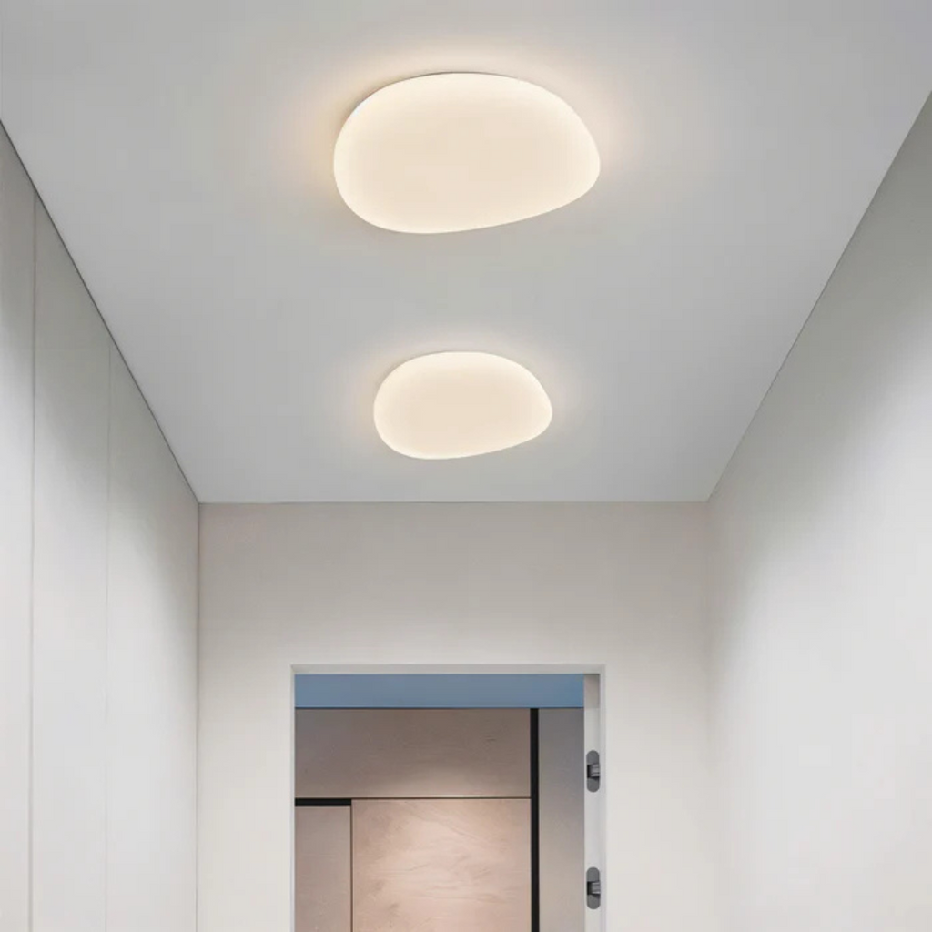 Stylish LED Ceiling Lamp