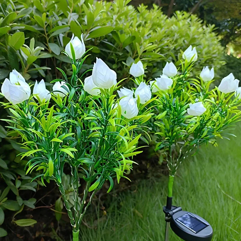 Everbloom Solar Flower Lights