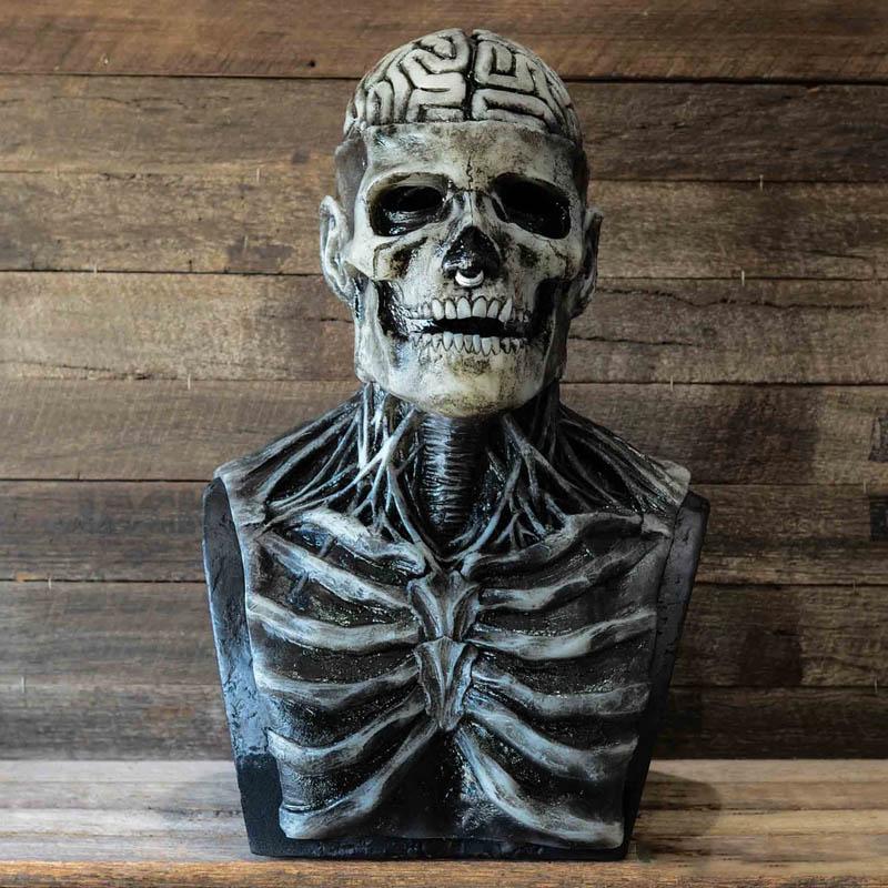 Terrible Skeleton Bioman