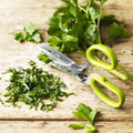 Multi-layered Spring Onion Scissors