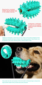 Single Suction Cup Cactus Chew Ball for Dogs