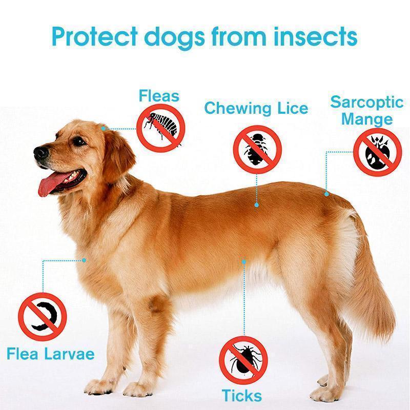 Adjustable Insect Defense Collar for Pets