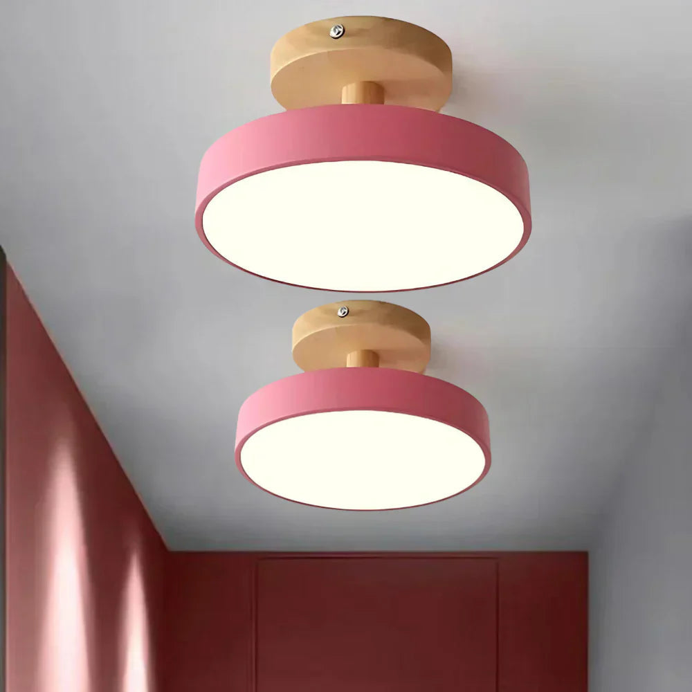 Compact Modern LED Ceiling Lamp
