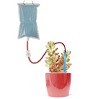 Water Bag Automatic Irrigation Device – Drip Irrigation for Easy Plant Care