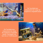 Beautiful decoration for diving aquariums