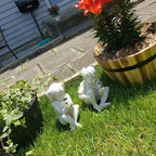 Harz Decoration Statues