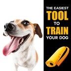 Anti Barking Training Gadget for Pets